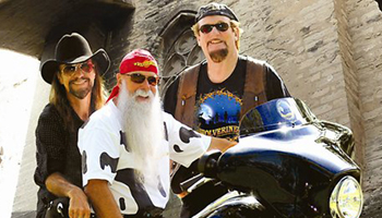 The Wolverines Profile